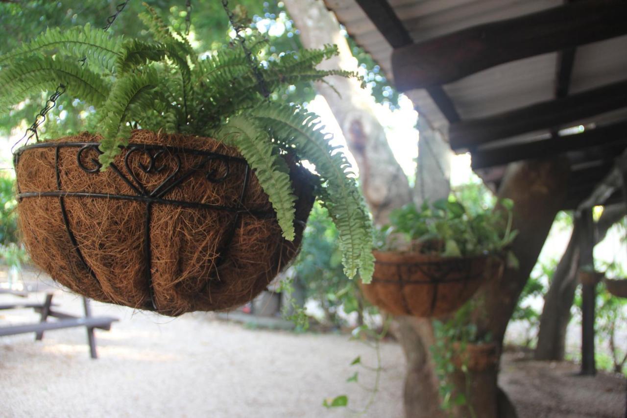 Tsunami Hostel Tamarindo Exteriér fotografie
