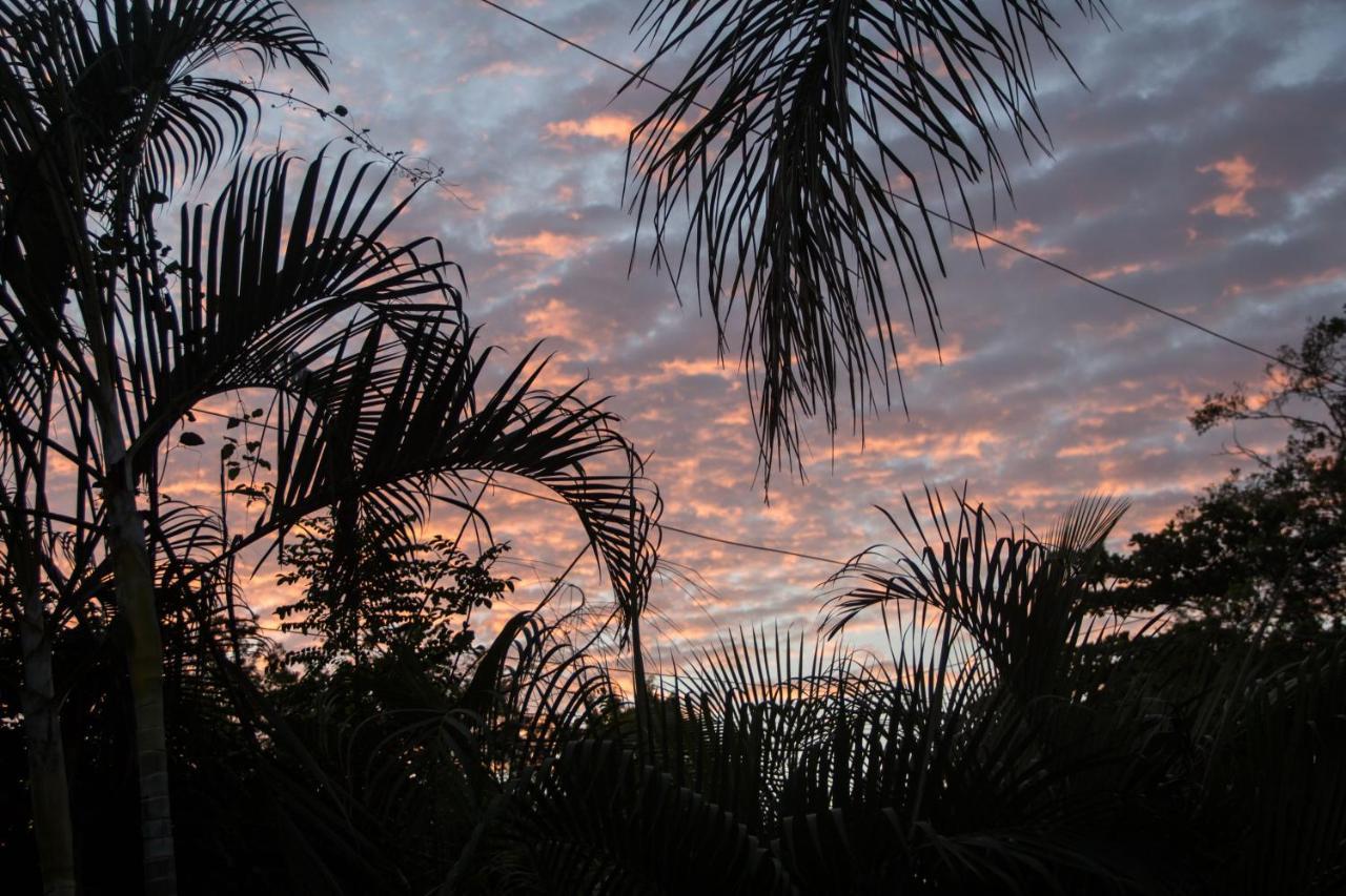 Tsunami Hostel Tamarindo Exteriér fotografie